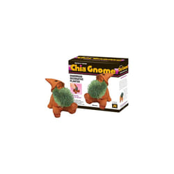 Chia Pet Gnome with Seed Pack  Decorative Pottery Planter  Easy to Do and Fun to Grow  Novelty Gift  Perfect for Any Occasion