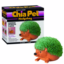Chia Pet Hedgehog Decorative Pottery Planter with Seed Pack  Decorative Pottery Planter  Easy to Do and Fun to Grow  Novelty  ...