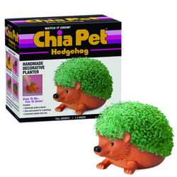 Chia Pet Hedgehog Decorative Pottery Planter with Seed Pack  Decorative Pottery Planter  Easy to Do and Fun to Grow  Novelty Gift  Perfect for Any Occ