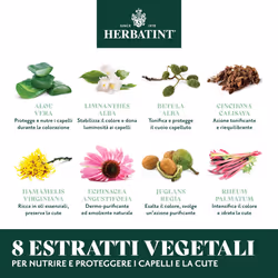 | Hair Dye 4N Chestnut