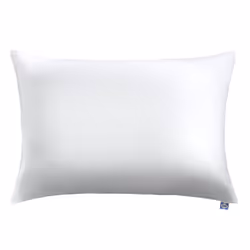 Sealy Performance Comfort Cotton Moisture Wicking Machine Washable Pillow Protector  Standard/Queen  2 Pack