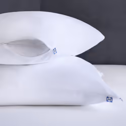 Sealy Performance Comfort Cotton Moisture Wicking Machine Washable Pillow Protector  King  2 Pack