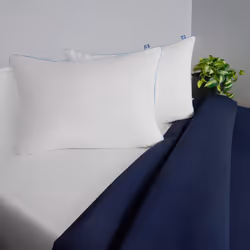 Sealy Slumber Bed Pillow Hypoallergenic Pillow Recycled Fill - Standard/Queen Pillows Set of 2