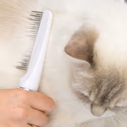 Catit Longhair grooming kit - Additional view 5