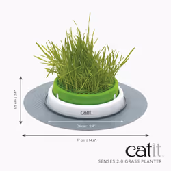 Senses Grass Planter - Additional view 2