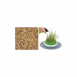 Senses Grass Planter - Additional view 6