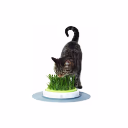 Senses Grass Planter - Additional view 8