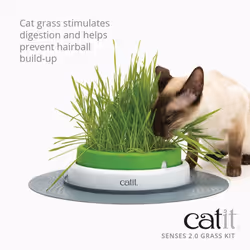 Catit Cat Grass Kit for the Catit Senses Grass Planter, Pack of 3