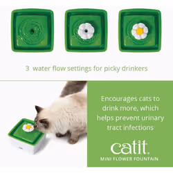 Catit Mini Flower Foutain for Kittens/Small Cats