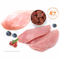 Catit 44506 cats dry food 2 kg Adult Poultry