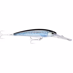 Rapala XRMAG30, 72 g, HD Silver Blue Mackerel, 4/0, 16 cm, 9 m