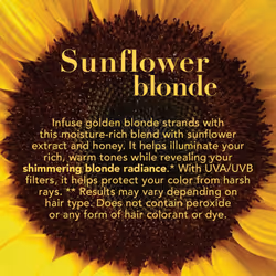 OGX Hydrate & Color Reviving + Sunflower Shimmering Blonde Penetrating Oil with UVA/UVB Sun-Filters  3.3 Ounce