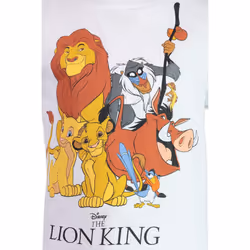 Disney Lion King Simba Nala Timon Toddler Boys 4 Pack TShirts 2T