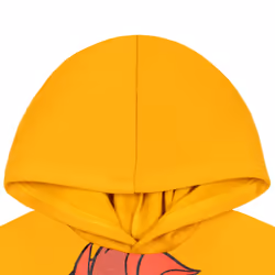 Disney Lion Guard Kion Little Boys Fleece Pullover Hoodie 6
