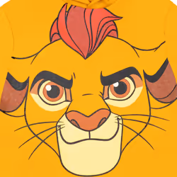 Disney Lion Guard Kion Little Boys Fleece Pullover Hoodie 6