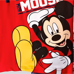 Disney Mickey Mouse Big Boys T-Shirt and Shorts Outfit Set Plaid Red 1