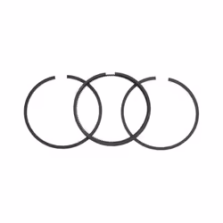 Briggs & Stratton 499996 Standard Piston Ring Set