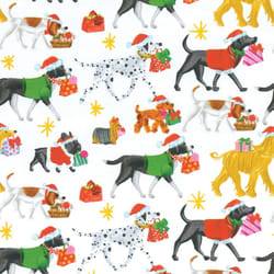 Caspari Entertaining Continuous Roll of Gift Wrapping Paper  Christmas Delivery White  8Feet  1Roll  30 Inches x 8 Feet Model