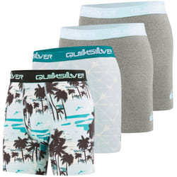 Quiksilver Mens Underwear 4 Pack Boxers for Men Supersoft Brushed Polyester Mens Boxer Briefs