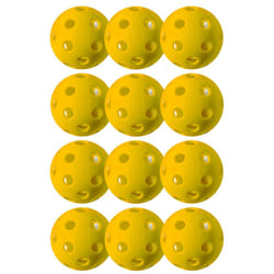 Franklin Sports X-26 Indoor Pickleballs - Indoor Court Pickleball Balls - USA Pickleball (USAPA) Approved Tournament Pickleballs - 12 Pack I