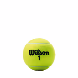 WILSON Championship Tennis Balls - Regular Duty  Single Can (3 Balls)