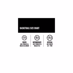 Wilson NCAA Autograph Basketball  Official - 29.5""