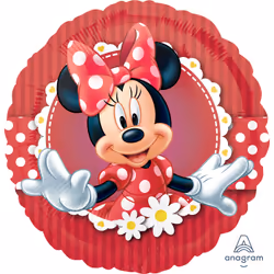 Amscan 2481301, Toy balloon, Foil, Round, 5 pc(s)
