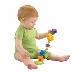 Fisher-Price Everything Baby N2862 rattle