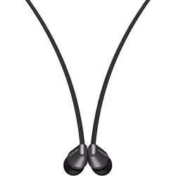 Sony WI-C310 Wireless In-Ear Earphones (Black)