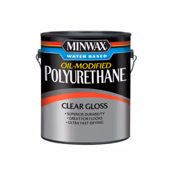 WB POLY GLOSS GAL (Pack of 2)
