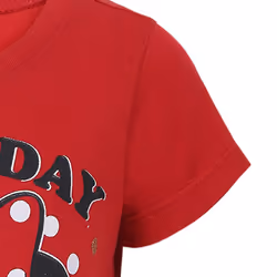 Disney Minnie and Mickey Mouse Girls Birthday Party Short Sleeve T-Shi