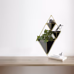 Umbra 470753-1137 planter Indoor Pot planter Wall-mounted Brass, Ceramic, Copper, Resin Black, Gold