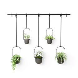 Umbra Triflora Indoor Pot planter Hanging Metal, Polypropylene (PP) Black, Grey