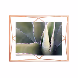 Umbra 313016-880, Single picture frame, Rose gold, Table, 10 x 15 cm, Rectangular, 254 mm