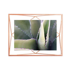 Umbra 313016-880 picture frame Single picture frame Rose gold