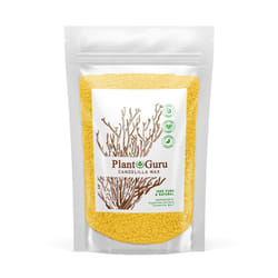 Candelilla Wax Pellets 1 lb. / 16 oz. 100% Pure Natual Food Grade Vegan Wax For DYI Lip Balm  Soap and Candle Making  Creams and Lotions. Great For Sk