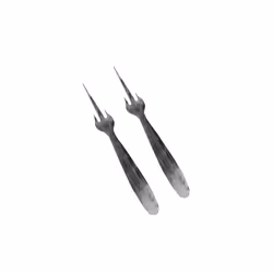 Bluelines Metaltex Stainless steel Mango Fork, Set Of 2, Silver, 7 1/4'' Inch