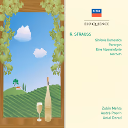 Eloquence Strauss: Sinfonia Domestica; Parergon; Eine Alpensinfonie; Macbeth, CD, Physical media, Adult, 2 discs, RICHARD STR ...