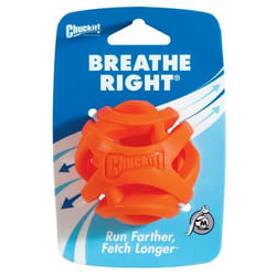 Chuckit! 31932 dog/cat toy