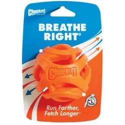 Chuckit! 31933 dog/cat toy