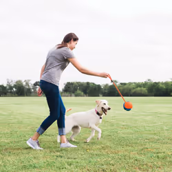 Chuckit! 32220 dog/cat toy - Additional view 5