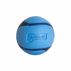 Sniff Ball Dog Toy, Durable High Bounce Bacon Scented Rubber Dog Ball Fetch Toy, Medium, 1 Pack