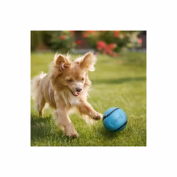 Sniff Ball Dog Toy, Durable High Bounce Bacon and Peanut Butter Scented Rubber Dog Ball Fetch Toy, Medium, 2 Pack