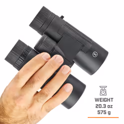 Bushnell Legend 10x42 binocular Roof Black