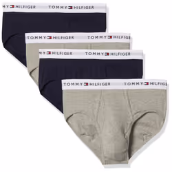 Tommy Hilfiger Men's 4-Pack Cotton Brief Multi Large