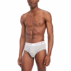 Tommy Hilfiger Men's 4-Pack Cotton Brief  Multi  Large