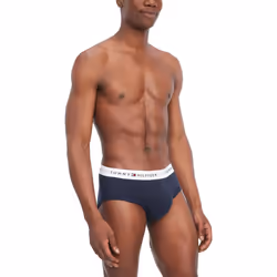 Tommy Hilfiger Men's 4-Pack Cotton Brief  Multi  Large