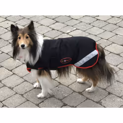 Vet Therapy 148824 FIR Mesh Dog Rug Large