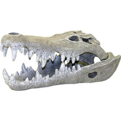 Rosewood Nile Crocodile Skull Aquarium Decor, Small