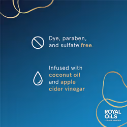 Head & Shoulders Royal Oils Shampoo and Conditioner Set  Includes Anti-Dandruff Scalp Care Shampoo (12.8 Fl Oz.) & Moisture Renewal Scalp Balancing Co